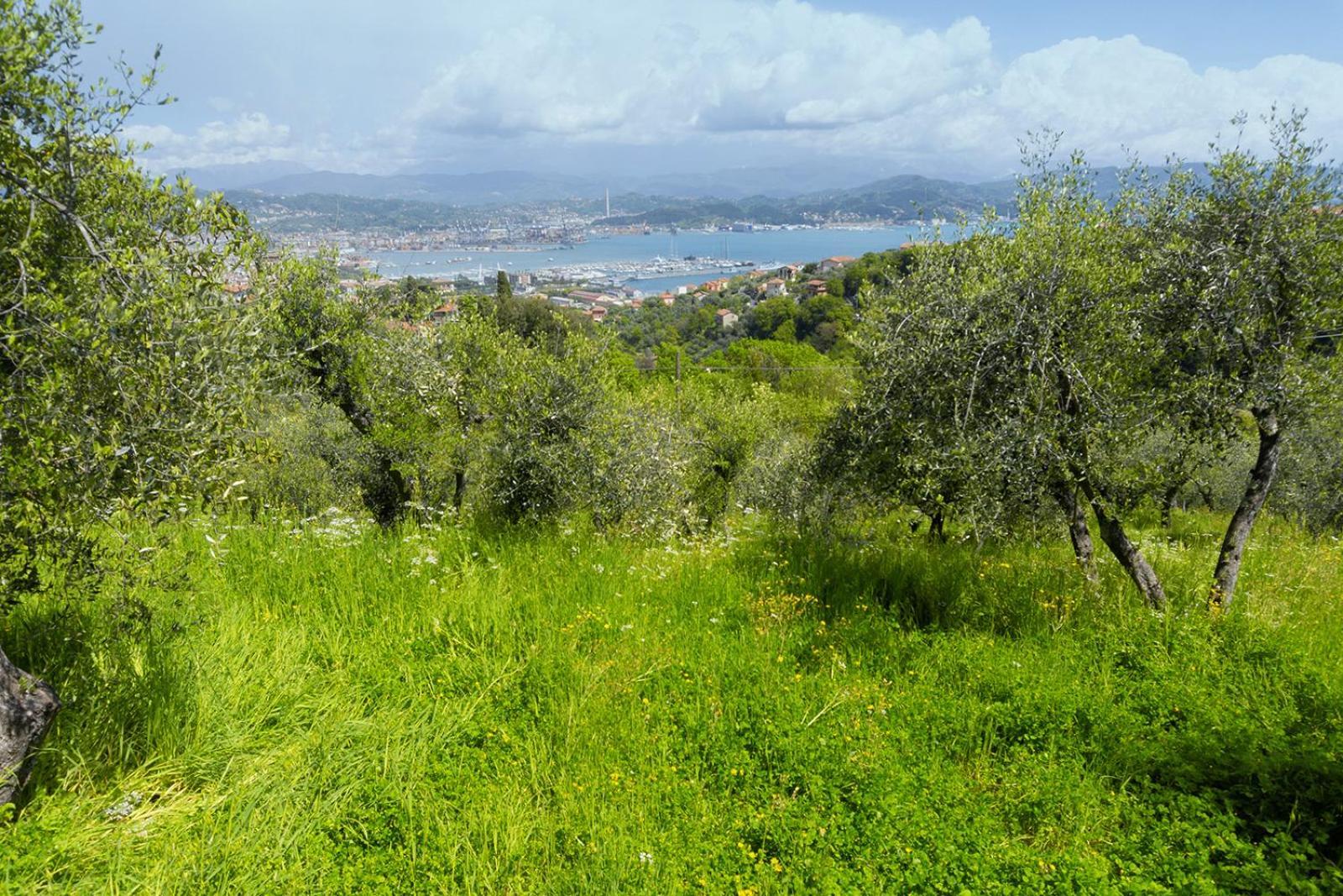 Apartmán Gli Ulivi Sul Golfo E Le 5 Terre La Spezia Exteriér fotografie