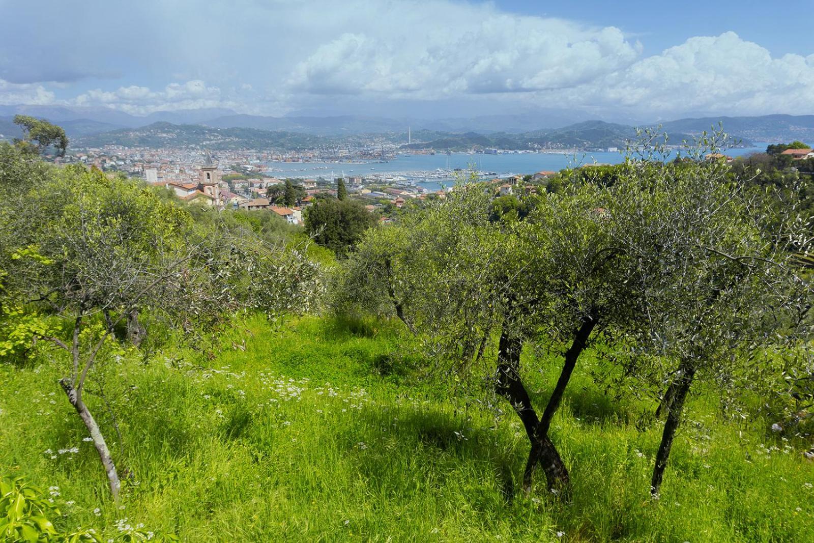 Apartmán Gli Ulivi Sul Golfo E Le 5 Terre La Spezia Exteriér fotografie