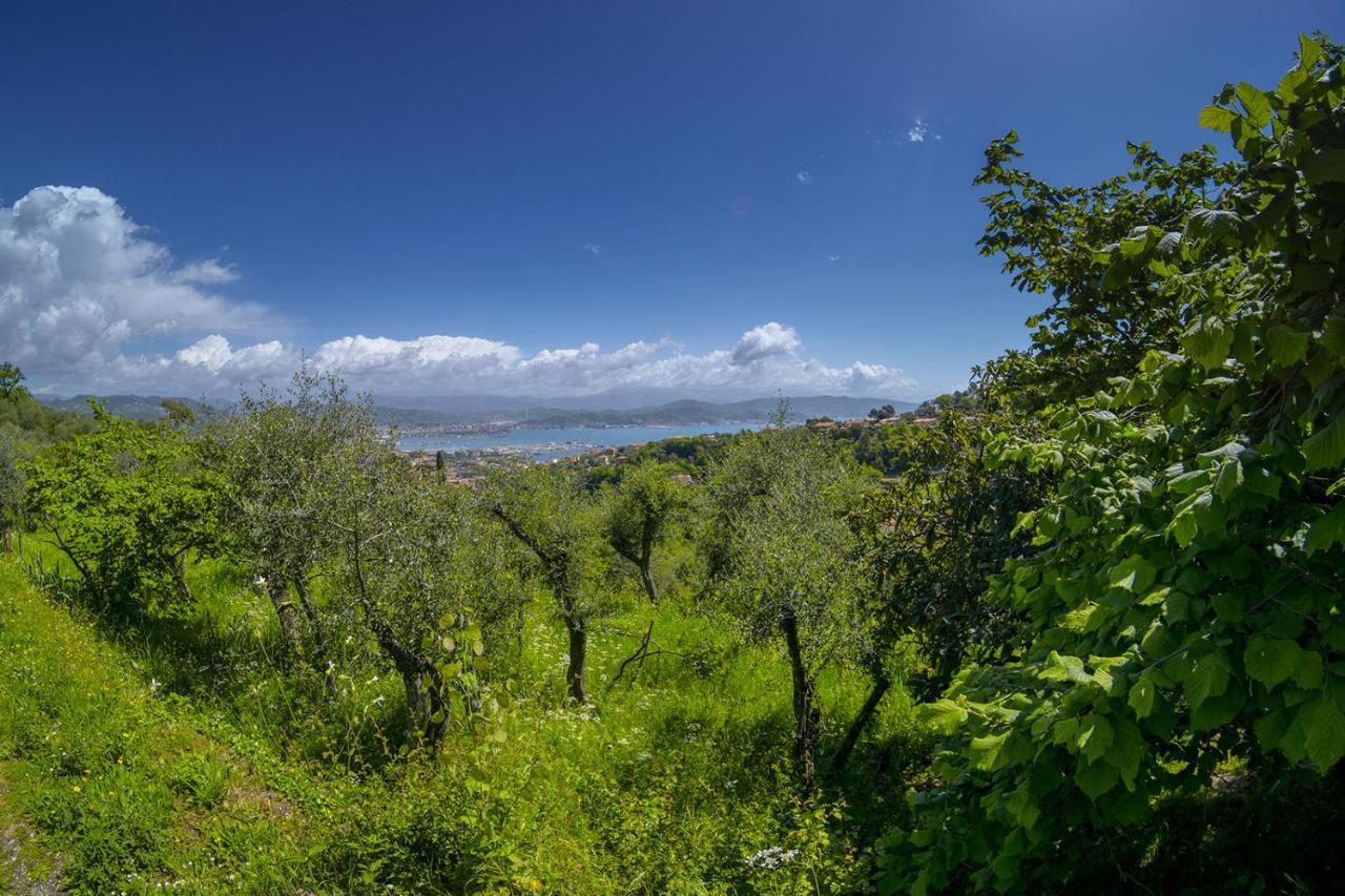 Apartmán Gli Ulivi Sul Golfo E Le 5 Terre La Spezia Exteriér fotografie
