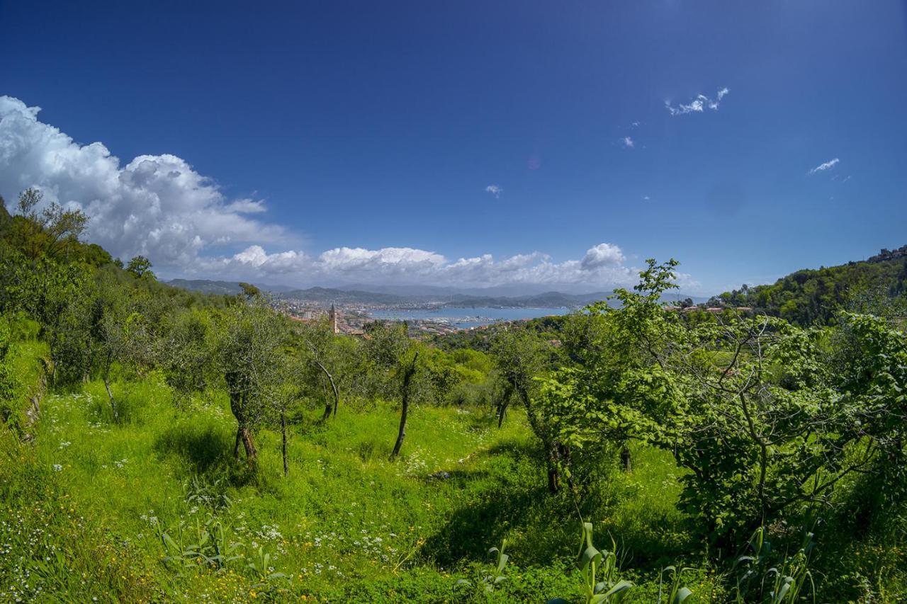 Apartmán Gli Ulivi Sul Golfo E Le 5 Terre La Spezia Exteriér fotografie